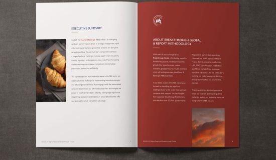 Brochure and report designed by DaVinci MPA – Branding Agency in London and Dubai